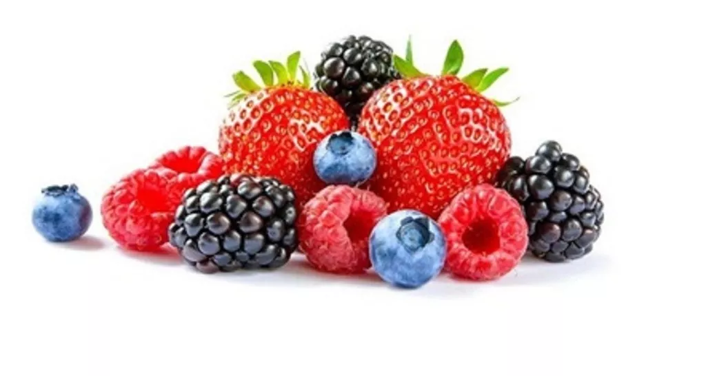 Фотография продукта Концентрат из дикорастущих ягод.